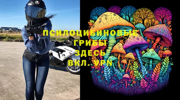 ALPHA PVP Алексин